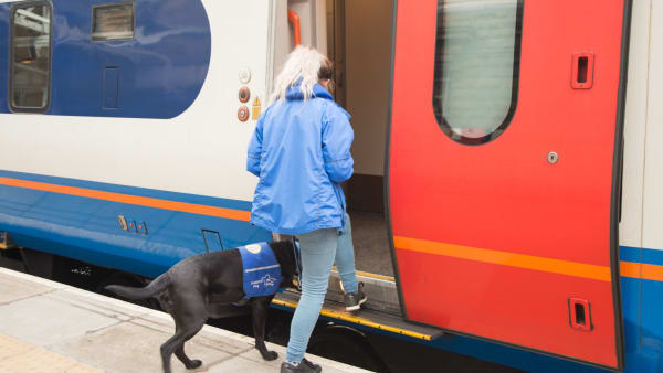 Your opportunity to tell the Government about your experiences of travelling with an assistance dog