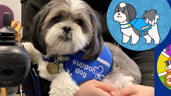 Support dog Tinks joins CBeebies’ Dog Squad