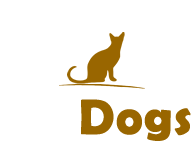 PetDogs-Uganda