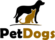 PetDogs-Uganda